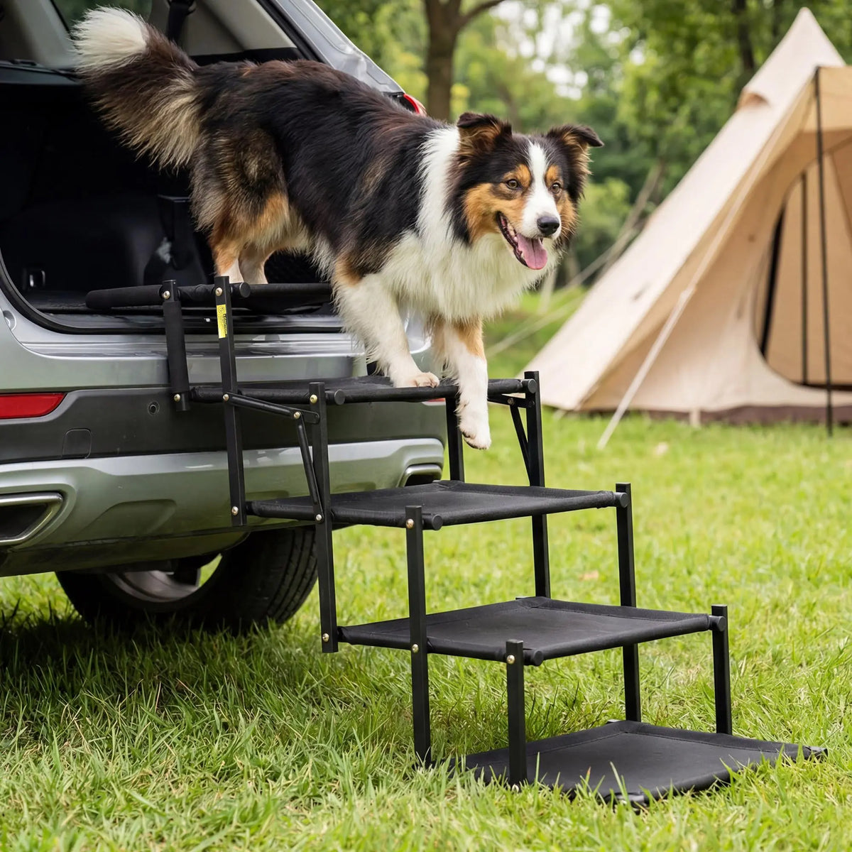 🐕 Foldable Dog Car Stairs – 5-Step, Anti-Slip, Up to 150 lbs