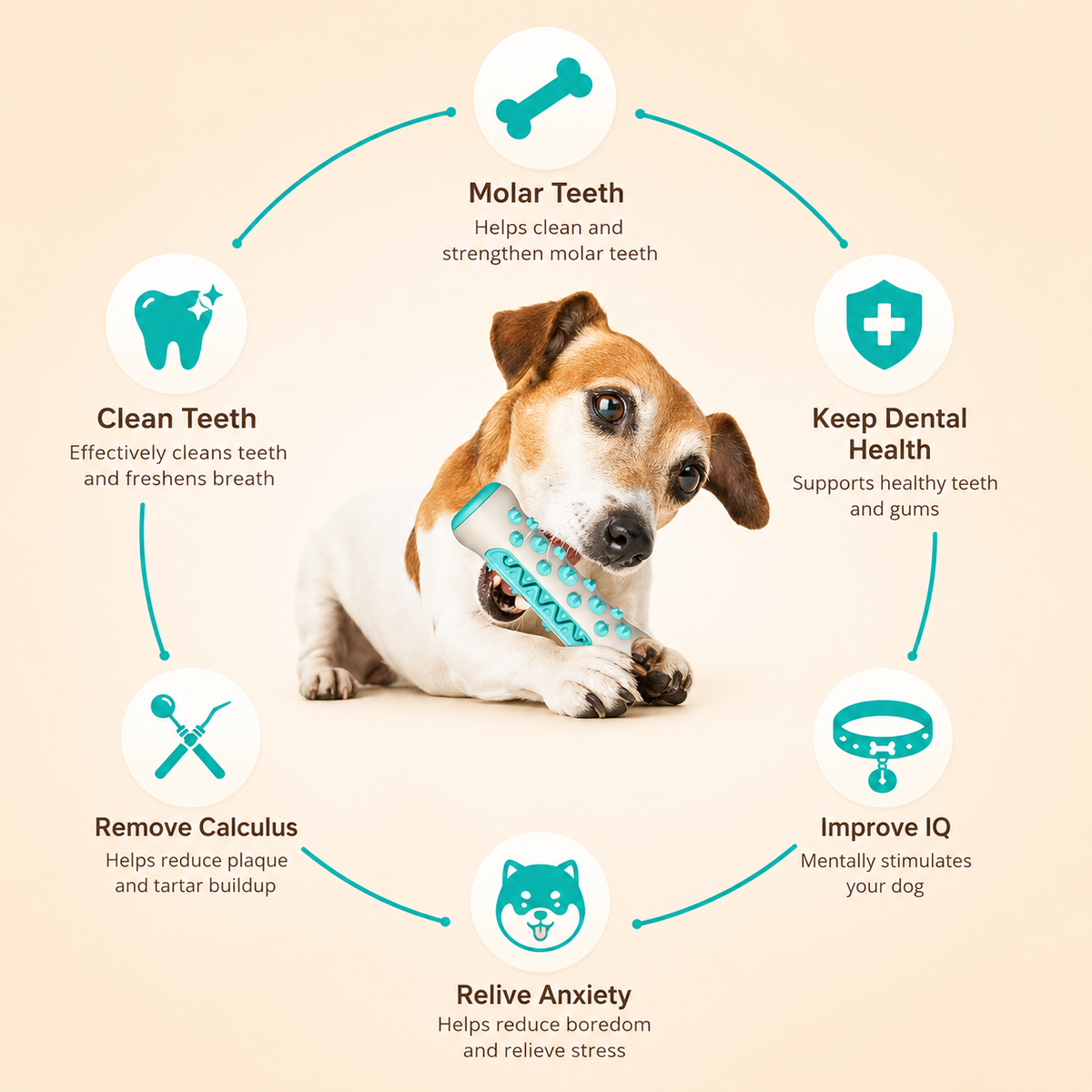 🦷  Premium Dog Dental Chew – Clean Teeth, Fresh Breath