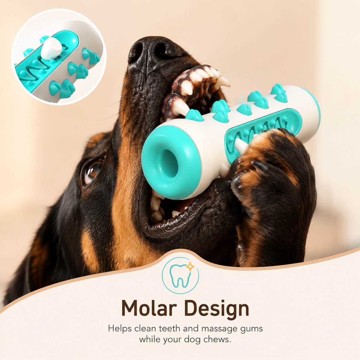 🦷  Premium Dog Dental Chew – Clean Teeth, Fresh Breath